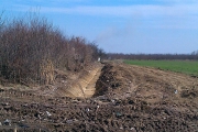 IMAG0040